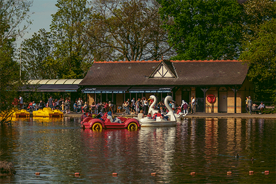 Car and swan boats on a lake with a cafe behind them.