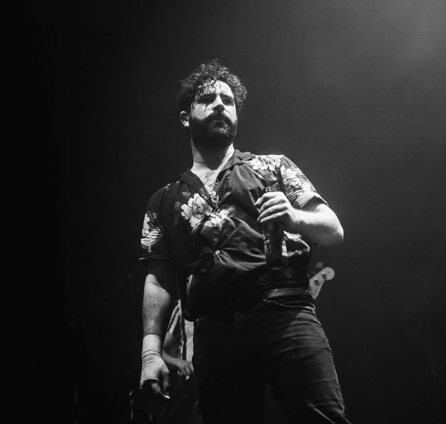 Foals