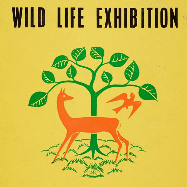 Wildlife Exhibition
