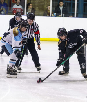 Haringey Greyhounds vs FireBees