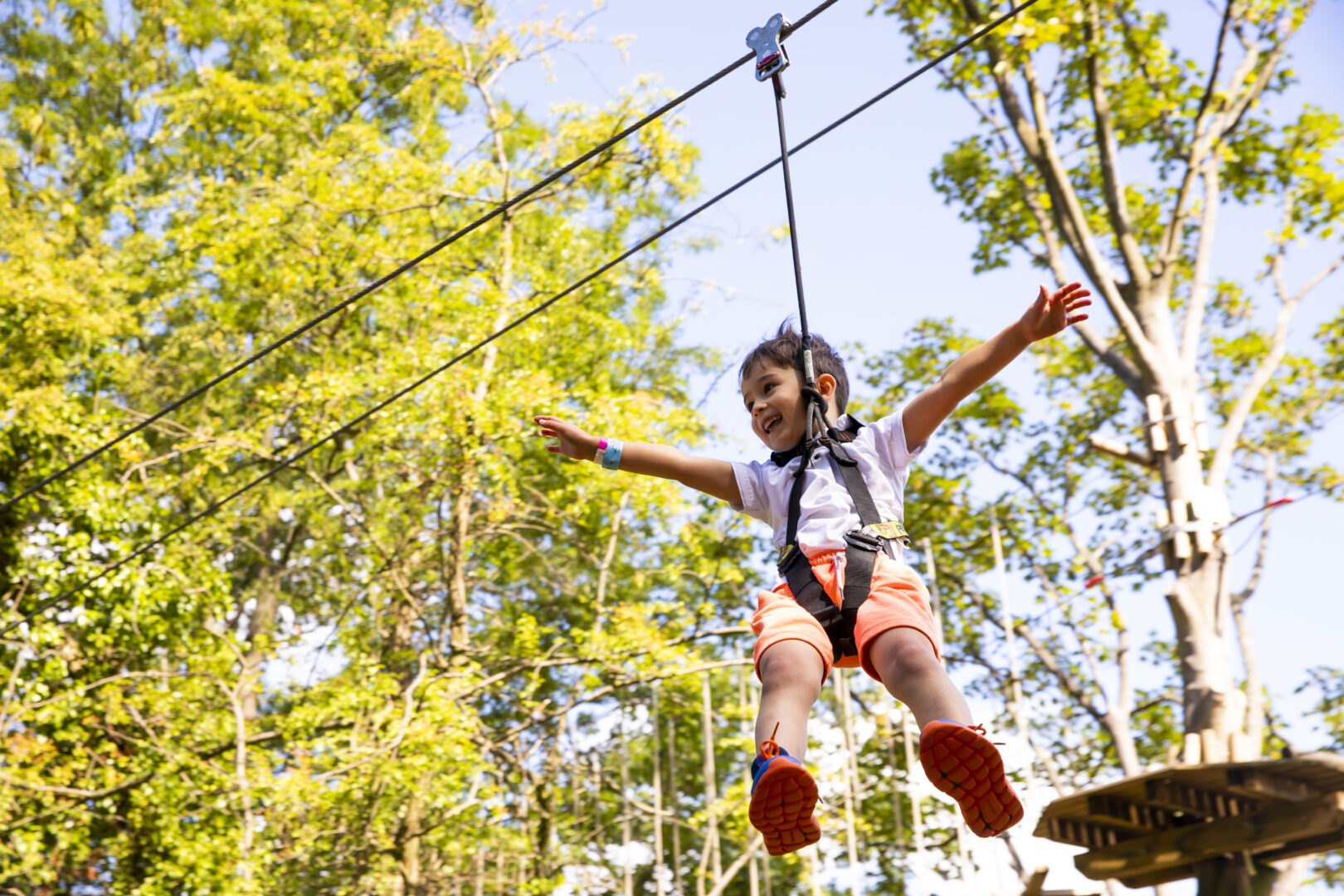 Young child on a zipline on a sunny day amongst trees.